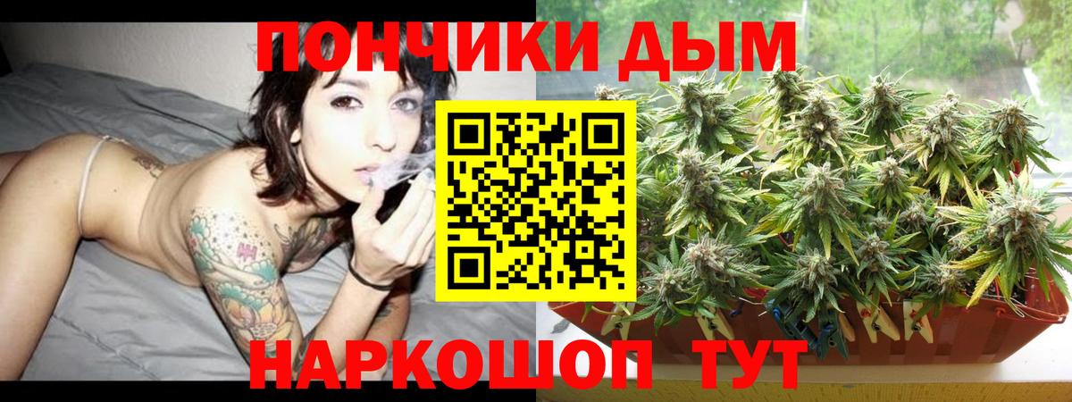 Шишки марихуана семена Курск